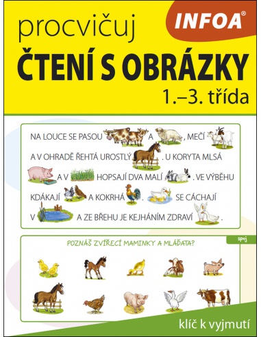 Obrázek